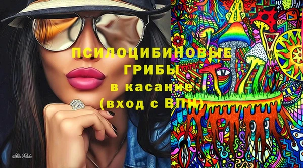 винт Гусиноозёрск