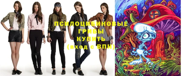 мдпв Горняк