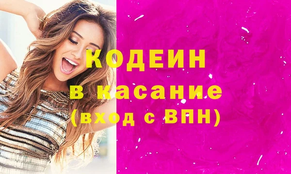 прущие грибы Гусь-Хрустальный