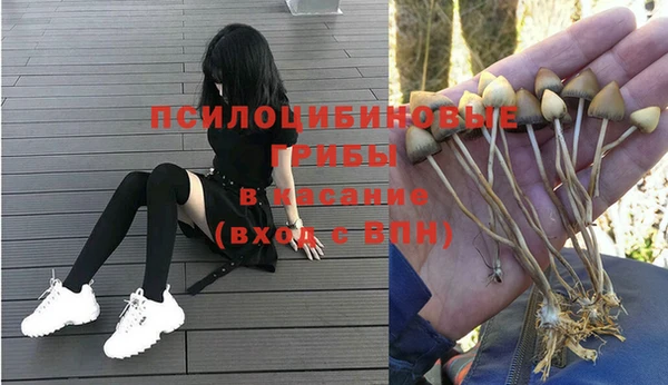 прущие грибы Гусь-Хрустальный