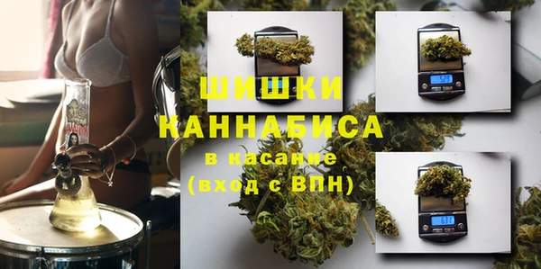 винт Гусиноозёрск