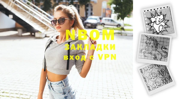 прущие грибы Гусь-Хрустальный