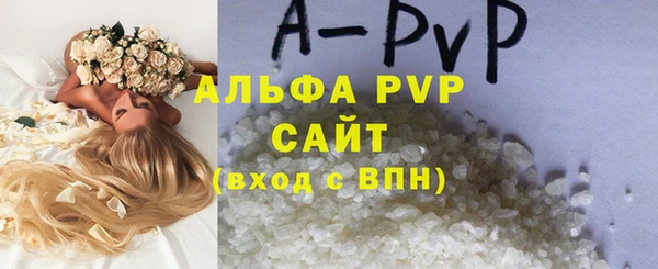 прущие грибы Гусь-Хрустальный