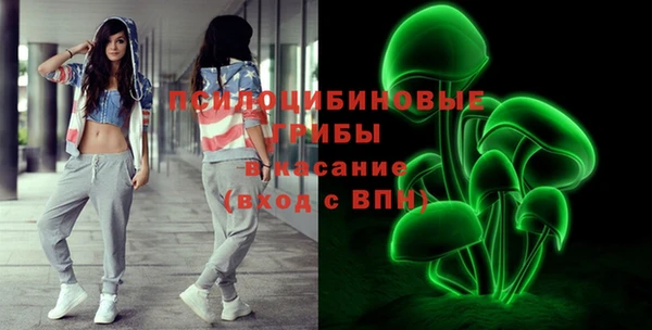 винт Гусиноозёрск